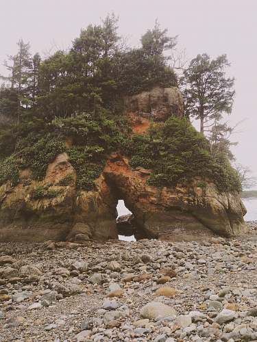 14236 us-101 green trees on rock formation rockaway beach